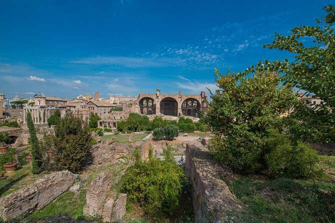 Rome: Colosseum Arena, Roman Forum & Palatine Hill Tour - Roman Forum: Power, Betrayal, Temples, and Curia