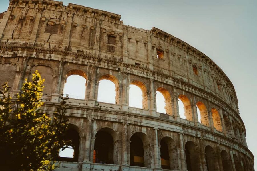 Rome: Colosseum, Palatine Hill, and Forum Guided Experience - Palatine Hill and the Roman Forum: seeing Rome as a lived-in city