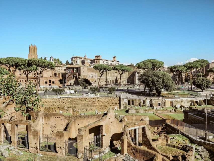 Rome: Colosseum, Roman Forum And Palatine Hill Guided Tour - Palatine Hill: Views, Status, and the Emperor Neighborhood Feeling