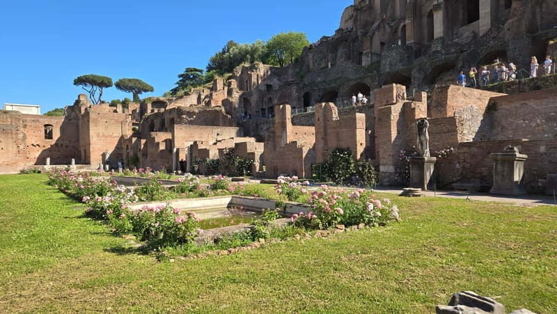 Rome: Colosseum, Roman Forum and Palatine Hill Guided Tour - Crowds, walking, and getting your day to feel easy