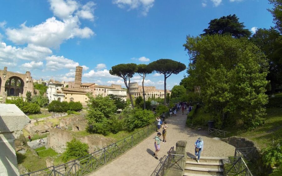 Rome: Colosseum, Roman Forum, and Palatine Hill Tour - Price and value: what $105 buys you in Rome