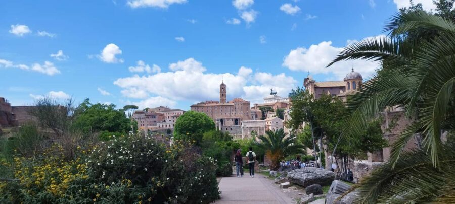Rome: Colosseum, Roman Forum & Palatine Hill Guided Tour - Meeting Point at the Arch of Constantine: Find the Yellow Flag Early