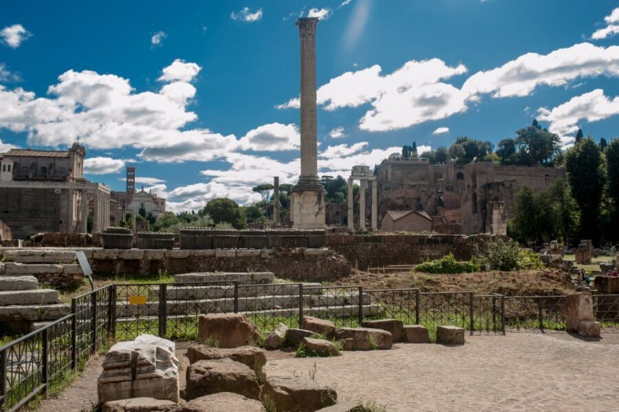 Rome: Colosseum, Roman Forum & Palatine Hill Tour - Heat, crowds, and walking: what you should bring