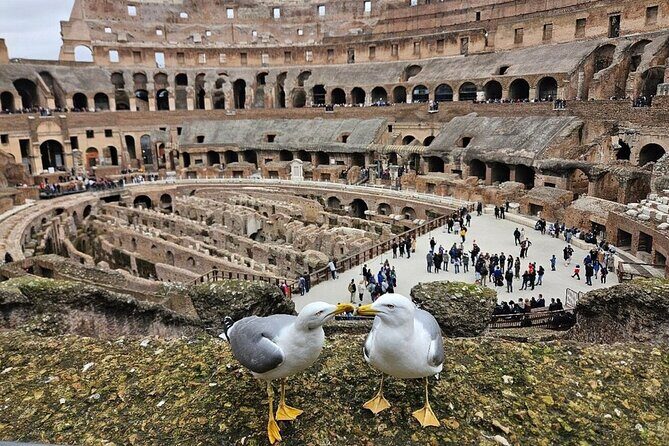 Rome: Colosseum, Roman Forum & Palatine Hill Visit + Audio Guide - Palatine Hill: views plus a slower, scenic pace
