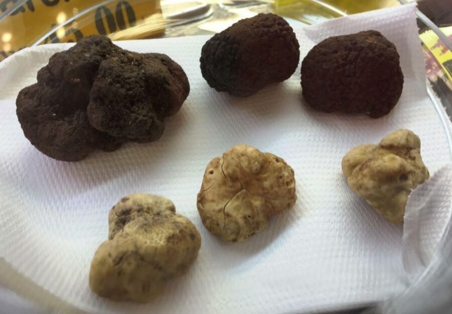 Rome: Trastevere Guided Food and Wine Tour with 20+ Tastings - Trastevere Food and Wine: Why this neighborhood fits a tasting tour