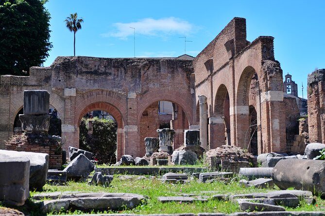 Small Group Colosseum, Roman Forum & Palatine Hill Tour - The real pacing: small group size, headsets, and walking energy