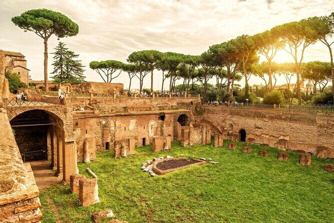 Small-Group Colosseum Tour with Roman Forum & Palatine Hill - Meeting near Via delle Terme di Tito and the 11:15 start rhythm