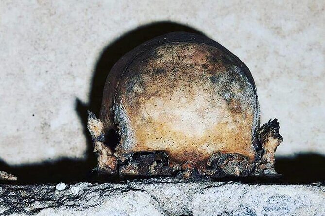 The Skull with the Ears: the Cult of the Dead in the Church of S. Luciella - Key highlights you’ll actually remember