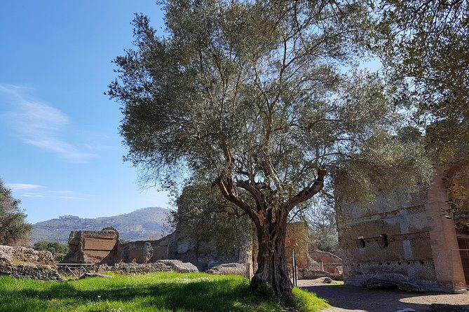 Tivoli Villas Full Day Trip From Rome with Lunch - Who This Tour Suits Best (and Who Should Think Twice)